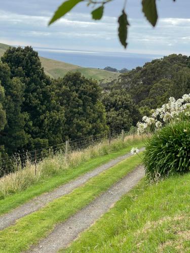 a dirt road in the middle of a field with trees at Alyeska farm house in Apollo Bay