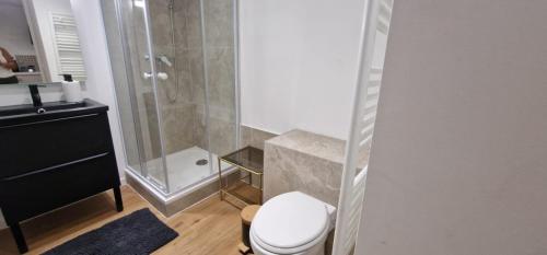 une salle de bain avec une douche, des toilettes et un lavabo dans l'établissement Ciné Chic sous la Promenade, à Nice