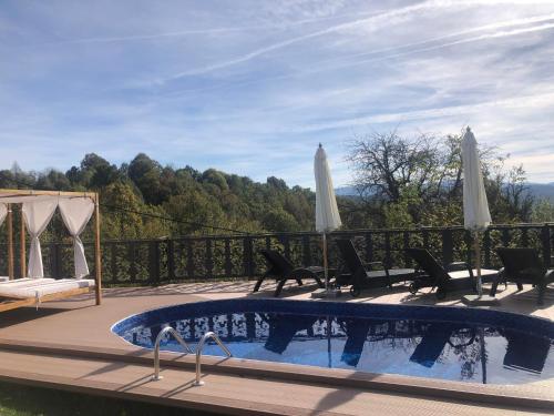 Вила Поликсения Петиня