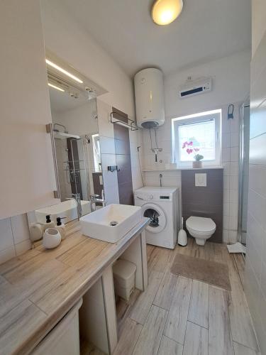 łazienka z umywalką i toaletą w obiekcie Sweet Home Lustig w Puli