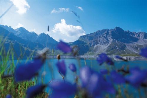 a bunch of purple flowers in front of a mountain at Appartement Panorama Blick in Bürserberg