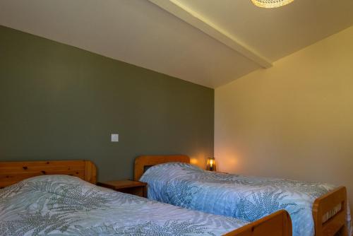 two beds in a room with green walls at La maison rocher in Fournels