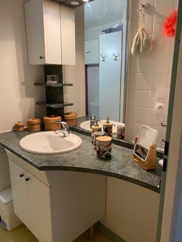 un comptoir de salle de bain avec un lavabo et un miroir dans l'établissement Alisiers 18, à Eugénie-les-Bains