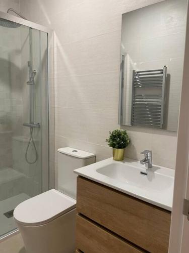 a bathroom with a toilet and a sink and a shower at Céntrico apartamento a estrenar in Bilbao