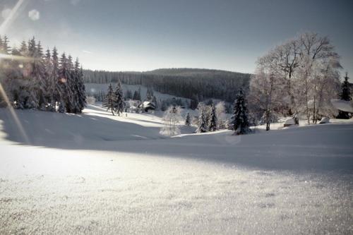 a snow covered field with trees in the distance at Ferienhotel Mühlleithen in Klingenthal