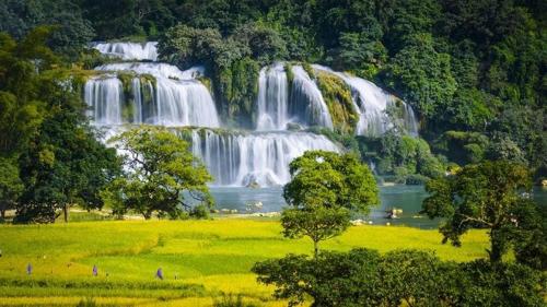 a group of waterfalls in a field with trees at Cheers Ecolodge Du Già in Làng Cac