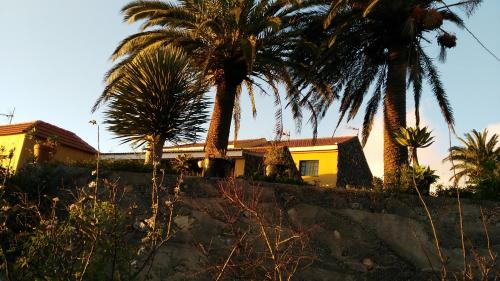 a yellow house with palm trees in front of it at Casas Rurales Amparo Las Hayas in Valle Gran Rey