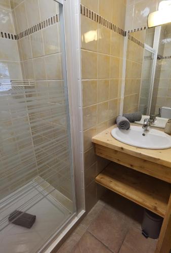 une salle de bain avec douche et lavabo dans l'établissement Errigal Apartment, à Morzine