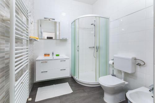 a bathroom with a shower and a toilet and a sink at Villa Terra Nera in Sveti Petar u Šumi