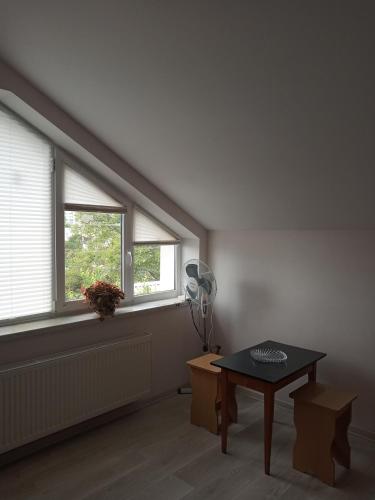 a living room with a table and two windows at Family Apartments Dorobok in Lviv