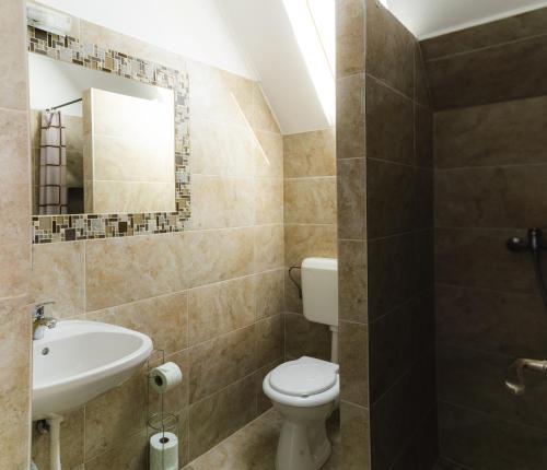 a bathroom with a toilet and a sink and a mirror at Casa Bokor in Sovata