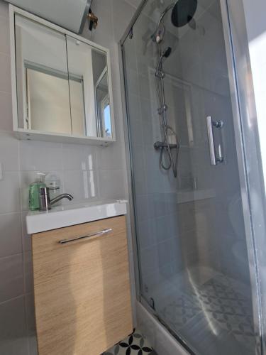 une salle de bain avec douche et lavabo dans l'établissement Studio Niçois Proche Mer, à Nice