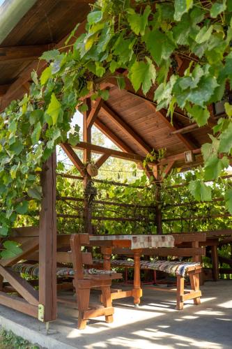 a wooden bench under a gazebo with vines at Casa Bokor in Sovata