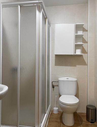 a bathroom with a shower and a toilet and a sink at Lemos Mar in Monforte de Lemos