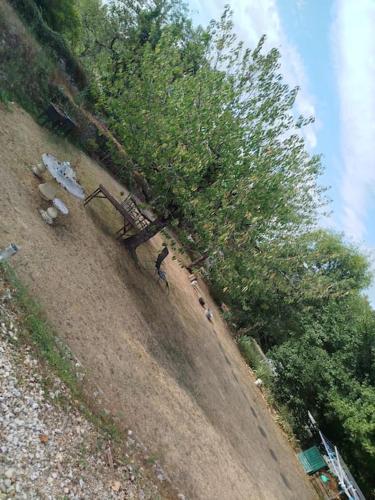 a person standing on a hill next to trees at Gite Le petit moineau in Corgnac-sur-lʼIsle
