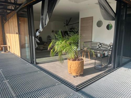 Studio proche Moulins