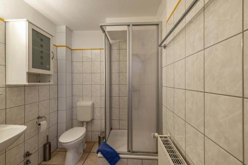 a bathroom with a shower and a toilet and a sink at Krüseliner Mühle - Ferienwohnungen in Krüselin