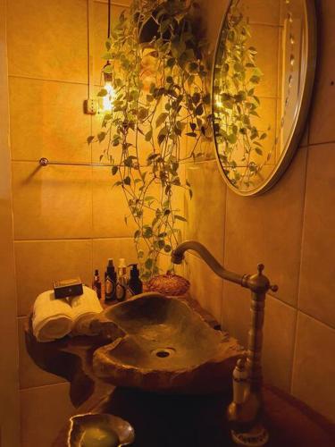 a bathroom with a sink and a potted plant at Rancho do Vale - Vale Veneto in São João do Polêsine