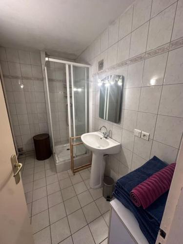 une petite salle de bain avec un lavabo et une douche dans l'établissement Appartement Quais de Grenoble, à Grenoble
