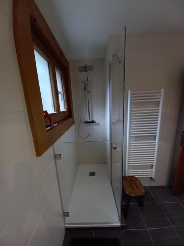a bathroom with a shower with a bench and a window at Appartement avec Terrasse in Chamonix-Mont-Blanc