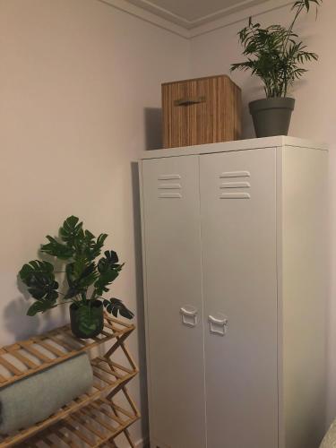 a white cabinet with two potted plants on top of it at Het Natuurhuisje op de Veluwe in Nunspeet