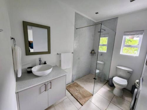 een badkamer met een wastafel, een toilet en een spiegel bij Mountain Vineyard Cottage in Kaapstad