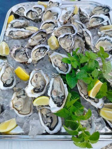 a tray of oysters with lemon slices and parsley at Hotel Sporting in Casarsa della Delizia