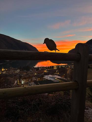 a bird sitting on a fence looking at the sunset at Villa la Dama del Lago in Molveno
