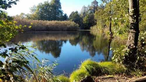 a view of a lake with trees and water at OSADA POD LASEM in Andrychów