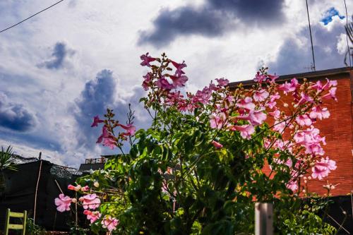 Κήπος έξω από το Bed & Breakfast LA TERRAZZA