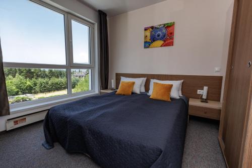 a bedroom with a bed and a large window at Saint George Palace Aparthotel in Bansko