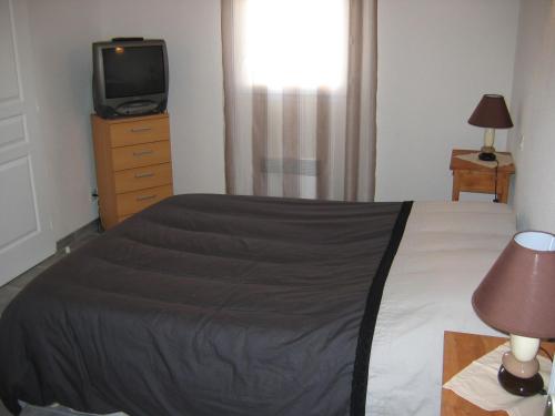 une chambre avec un lit et une télévision sur une commode dans l'établissement appartement, climatisation, parking privée, terrasse, à Saintes-Maries-de-la-Mer
