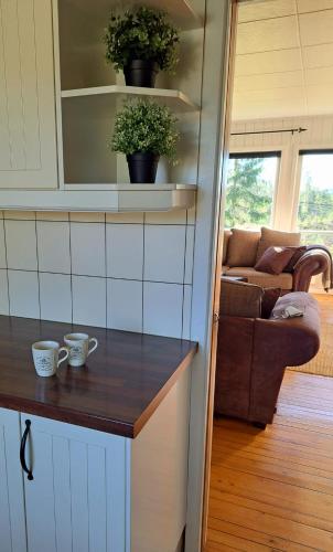 a kitchen with two cups on a counter and a couch at Østby Trysil luxury holiday home in Trysil