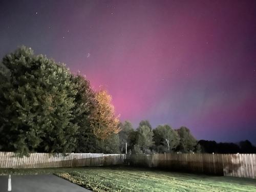 a pink sky with trees and a fence at Lakeshore Suites in North Bay