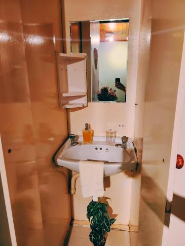 a bathroom with a sink and a mirror at Budget Haven Durbanville in Cape Town