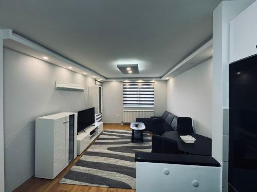 a living room with a couch and a tv at Ognjen Apartman in Donje Mladice
