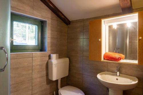 a bathroom with a toilet and a sink and a window at Woodland Retreat in Donji Zagon