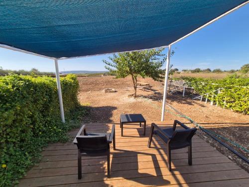 a patio with two chairs and a table under a blue tent at Adas in Aviʼel