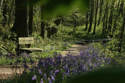 Zahrada ubytování Rodeberg Belle Vue