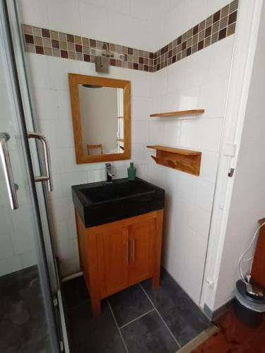 une salle de bain avec un lavabo noir et un miroir dans l'établissement Charmant T2 place de Verdun, à La Rochelle