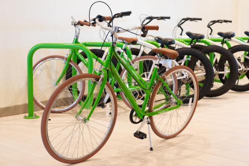 a row of green bikes parked next to each other at Element Melbourne Oceanfront in Melbourne