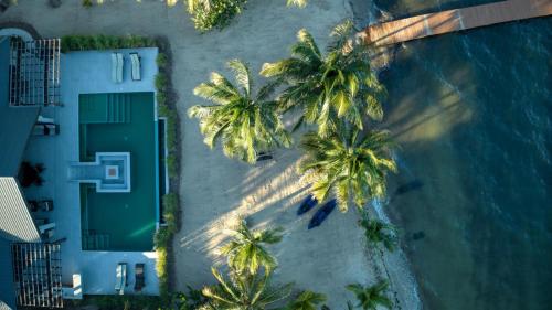 an overhead view of palm trees on the beach at Casa de Wilson - 5 Bedroom Beachfront Villa in Maya Beach