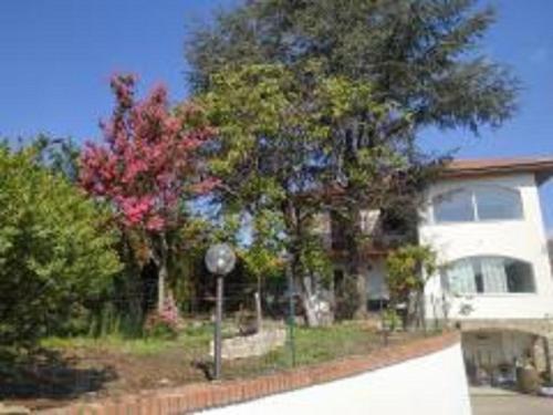 Κήπος έξω από το Casa Mimosa