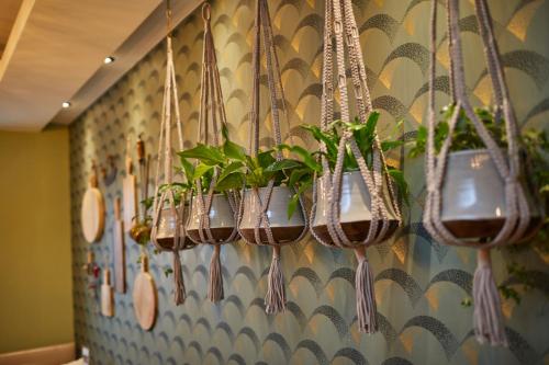 a row of potted plants hanging on a wall at Hotel Ritter Durbach in Durbach