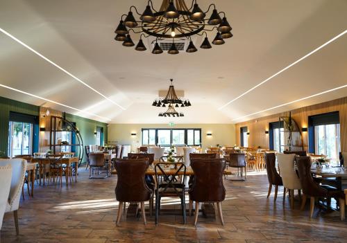 Εστιατόριο ή άλλο μέρος για φαγητό στο All Saints Resort