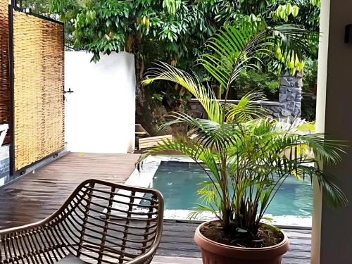 a patio with a bench and palm trees and a pool at Villa Les Jardins de la Trinité in Saint-Philippe
