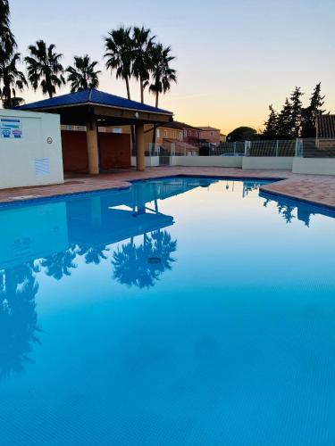 un bassin d'eau bleue avec des palmiers en arrière-plan dans l'établissement Villa Domaine des Pins, Magasins proches, Piscine, à Fréjus