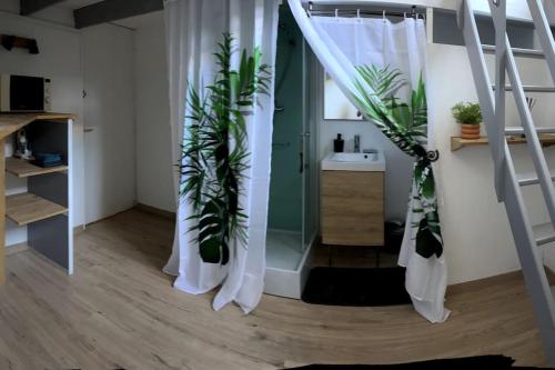une salle de bain avec une douche avec des plantes dedans dans l'établissement Studio Hyper centre, quartier historique, à La Rochelle