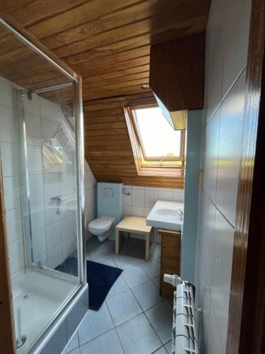 a bathroom with a shower and a toilet and a sink at Noclegi ECHO in Smardzewice