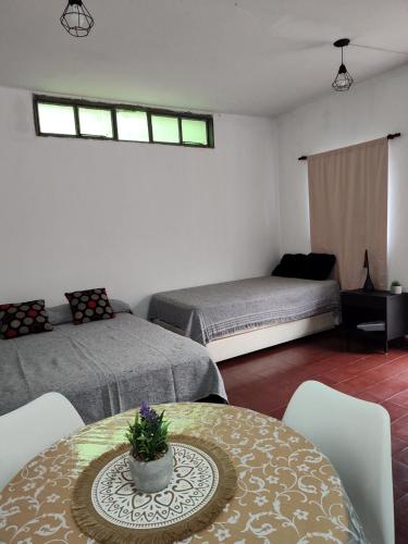 a bedroom with two beds and a table with a potted plant at 866 Apart in San Fernando del Valle de Catamarca